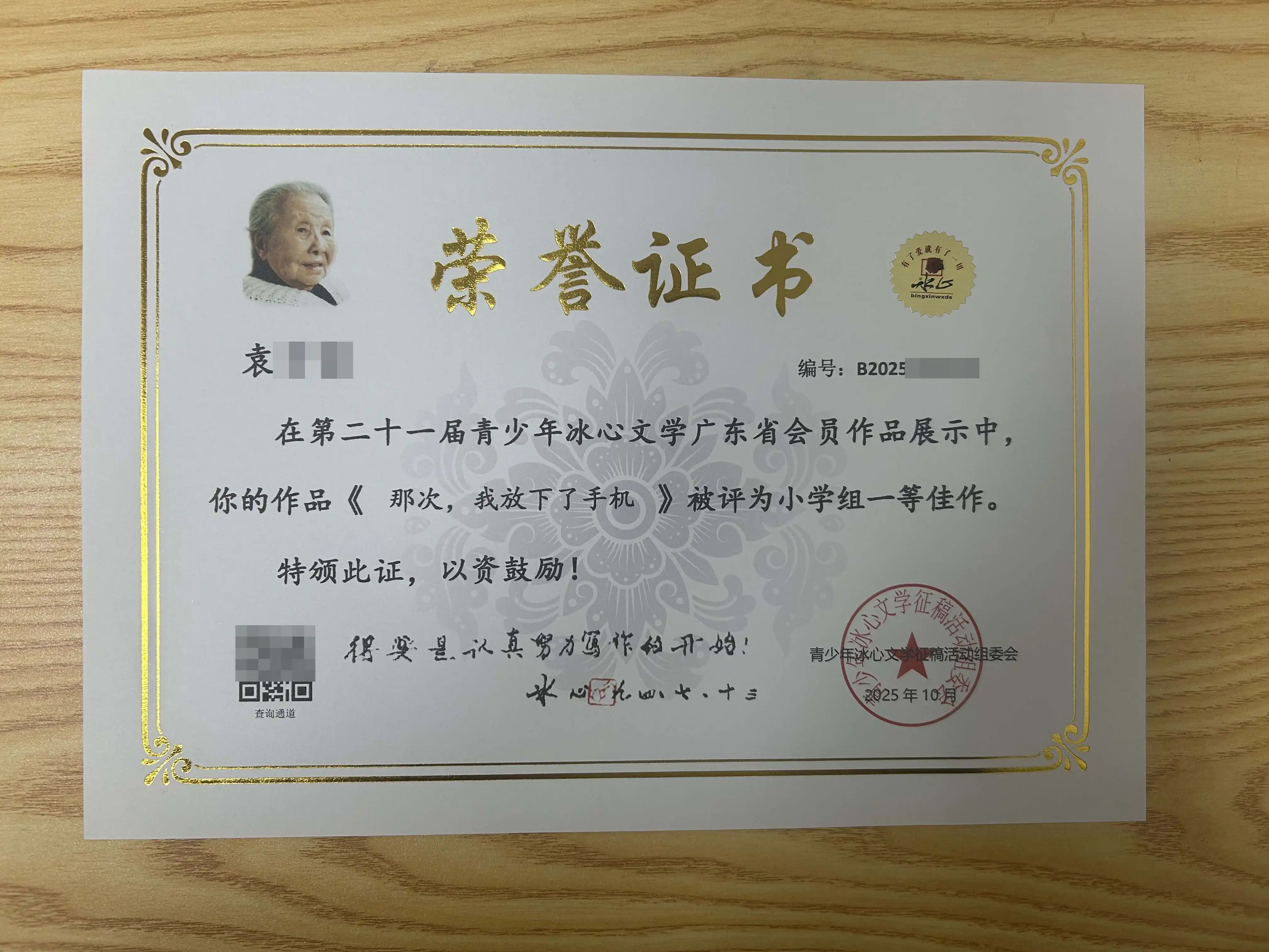 袁同学-冰心杯小学组一等佳作