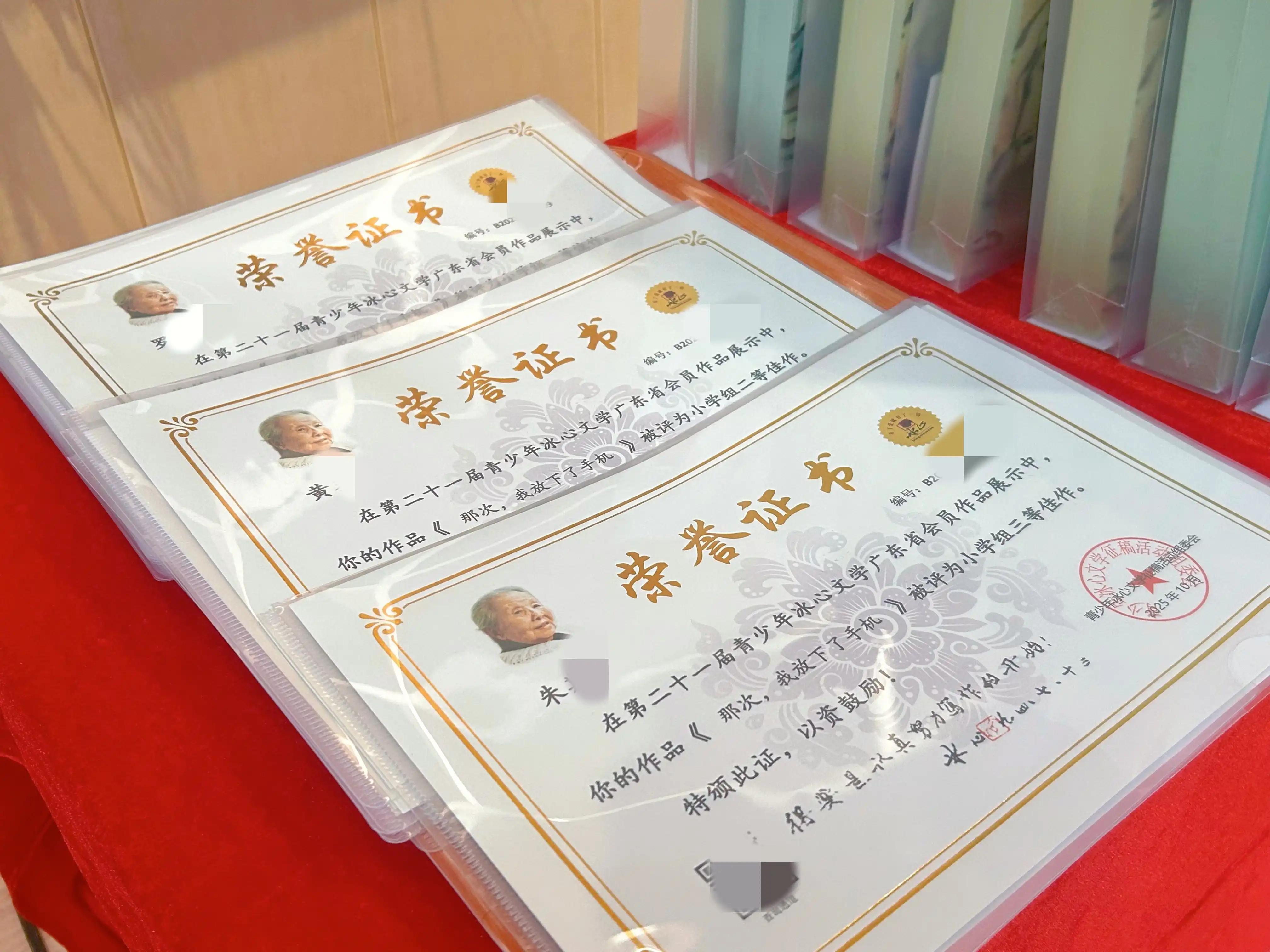 冰心杯获奖证书