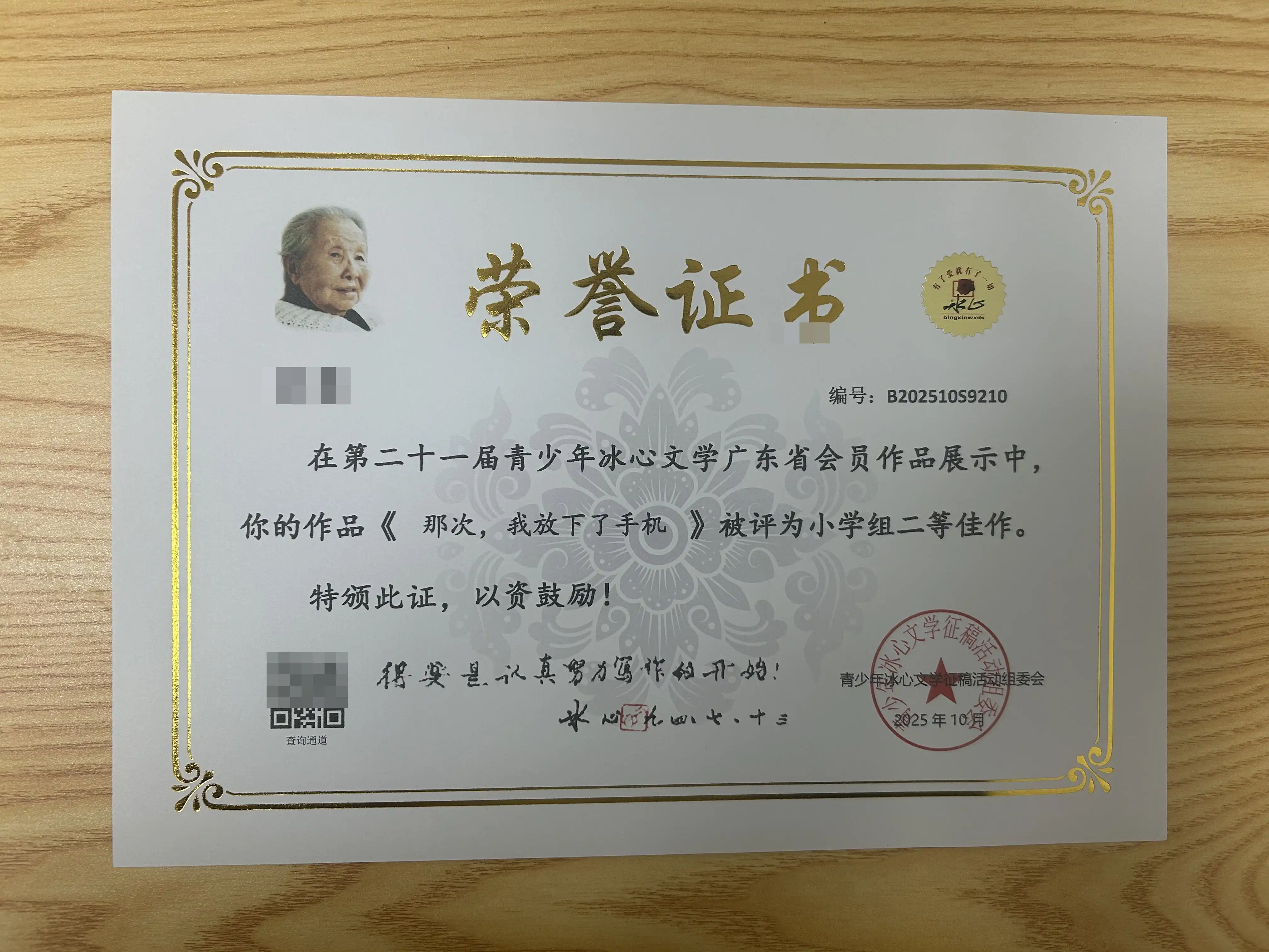 冰心杯小学组二等佳作