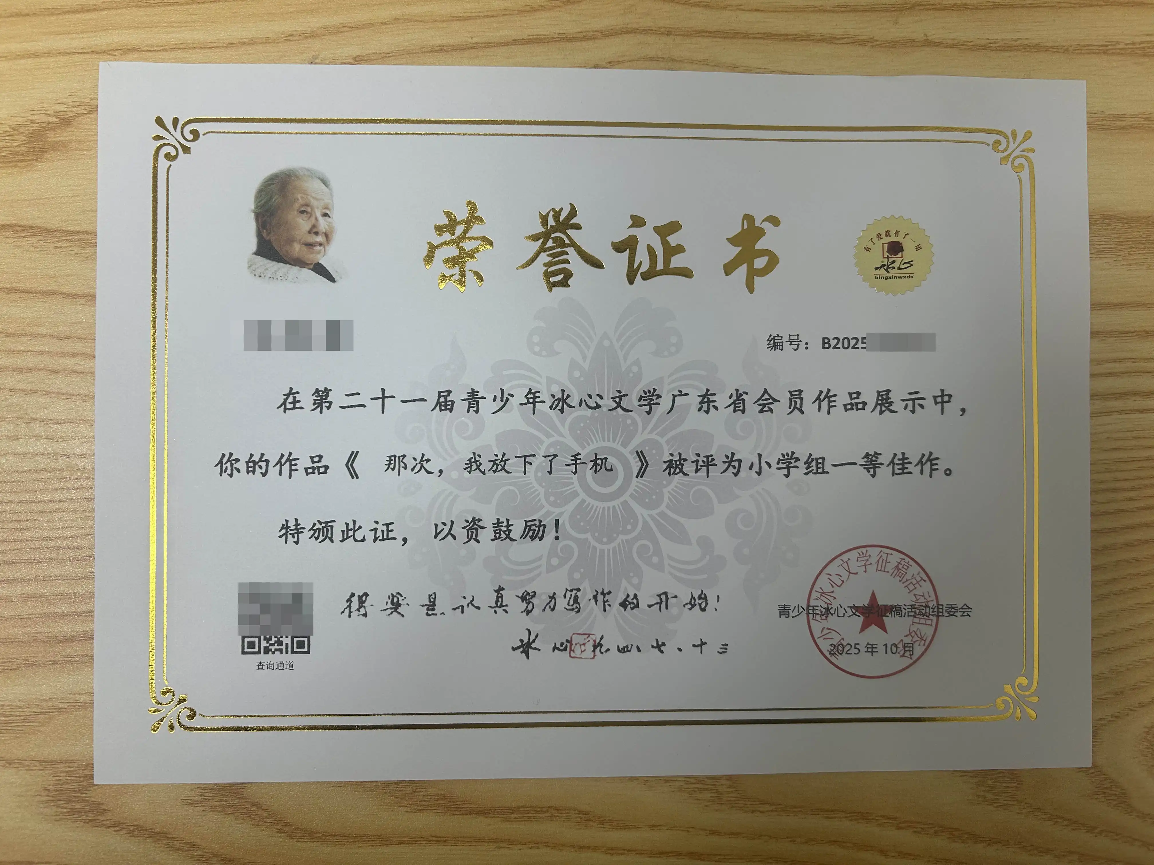 冰心杯小学组一等佳作