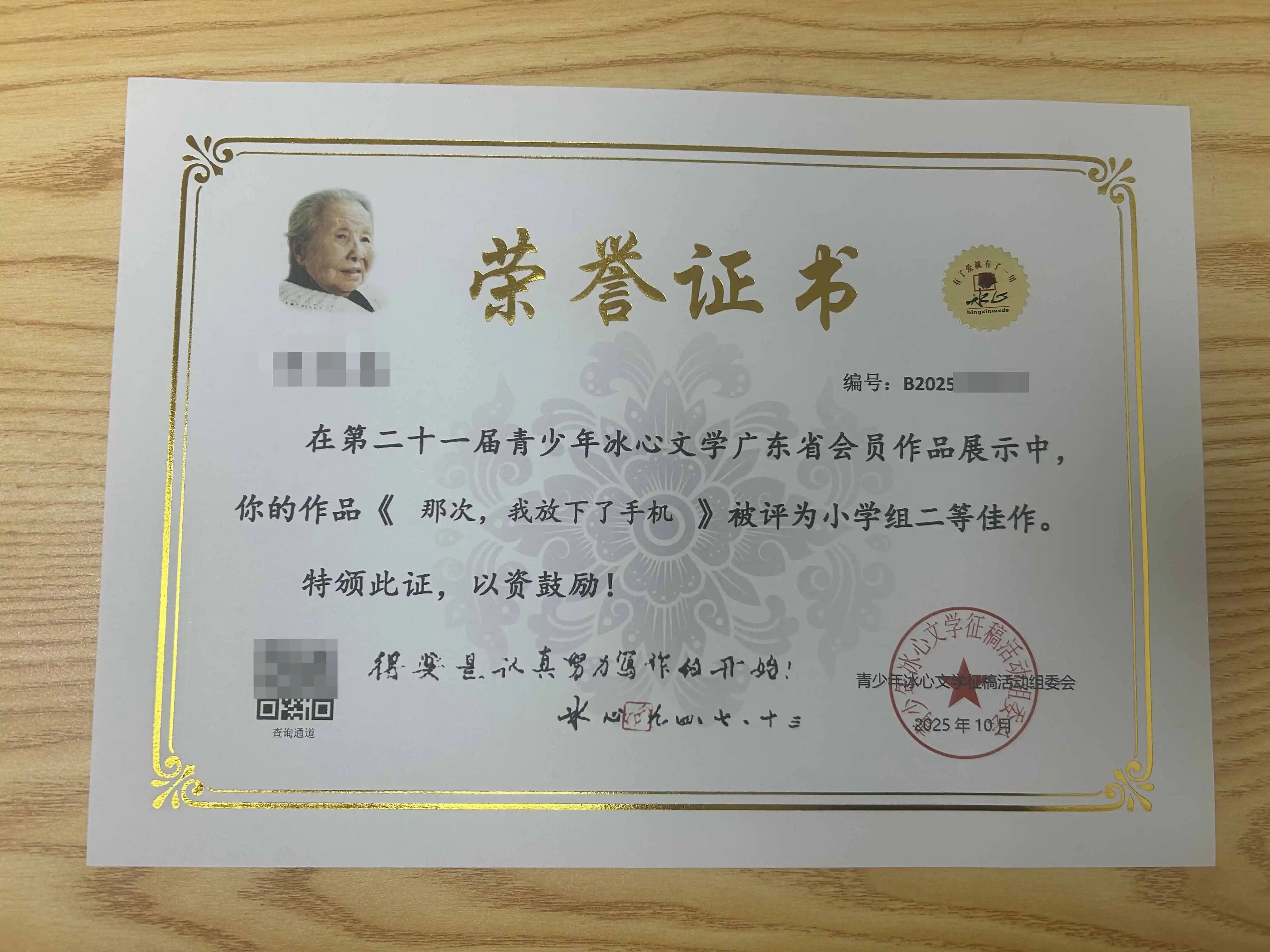 冰心杯小学组二等佳作